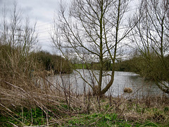 Dimmingsdale Resevoir