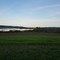 20190417 192841 001 20190417 192841 001