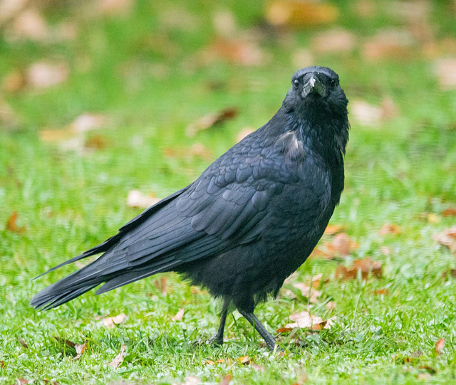 I think I was spotted.