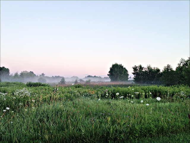 Nature Preserve