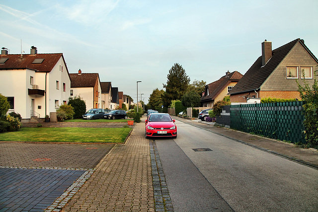 Plutostraße (Gelsenkirchen-Bulmke-Hüllen) / 30.09.2023