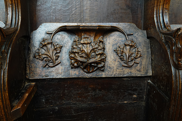 S14 Misericord