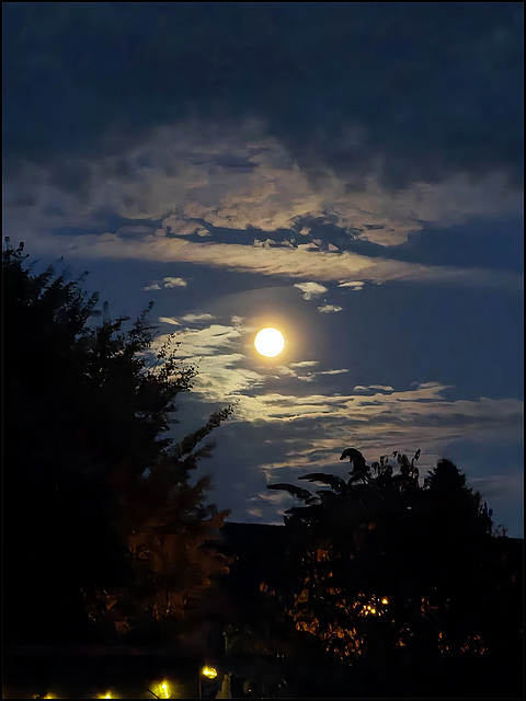 Vollmond über Norddeutschland ✨️