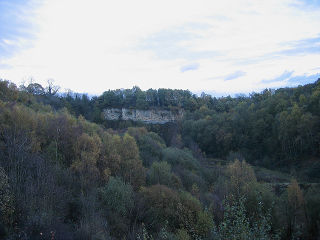 Doulton’s Claypit; former source of clay for Royal Doulton and SSSI