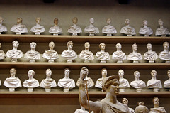 Spare Busts