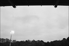 Stadion | Gänse