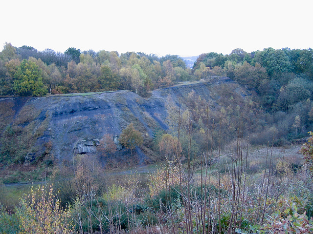 Doulton’s Claypit; former source of clay for Royal Doulton and SSSI