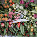 Tulpen für die Ostervase