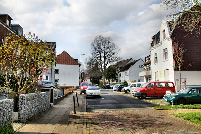 Dreigarbenfeld (Essen-Schönebeck) / 2.04.2022