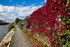 Herbst Fence - HFF!