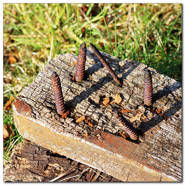 Elbauen-Bank-Detail Elbauen-Bank-Detail