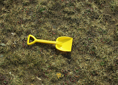Yellow spade.