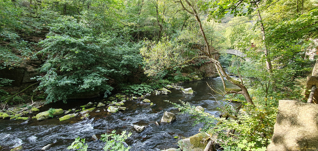 Die Jungfernbrücke im Bodetal (PiP)