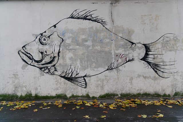 Poisson mural