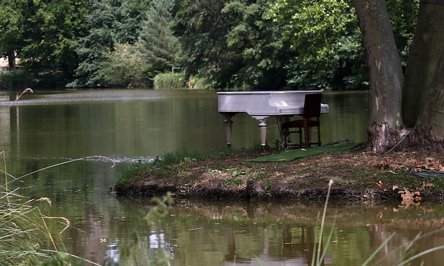 jouer du piano sur un îlot ......