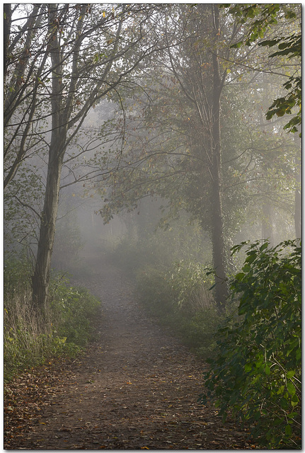 A walk on the misty side.