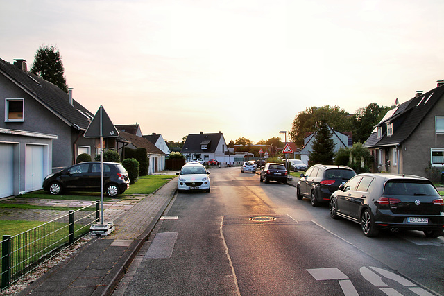 Schlagenheide (Gelsenkirchen-Bulmke-Hüllen) / 30.09.2023