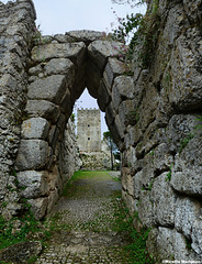 L'Acropole d'Arpino (Italie)