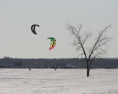 surf des neiges snow surfing