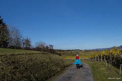 Wandern bei herrlichem Herbstwetter