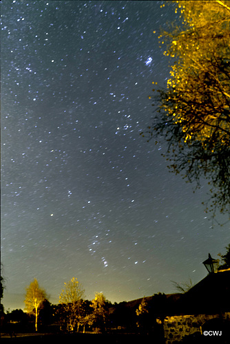 Clear night skies tonight