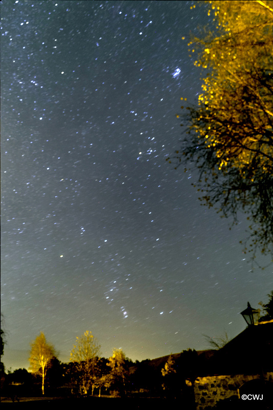 Clear night skies tonight