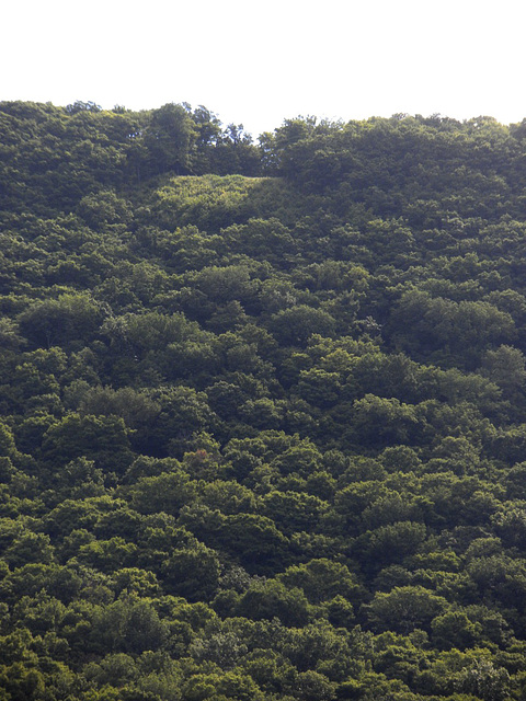 Hang glider takeoff spot