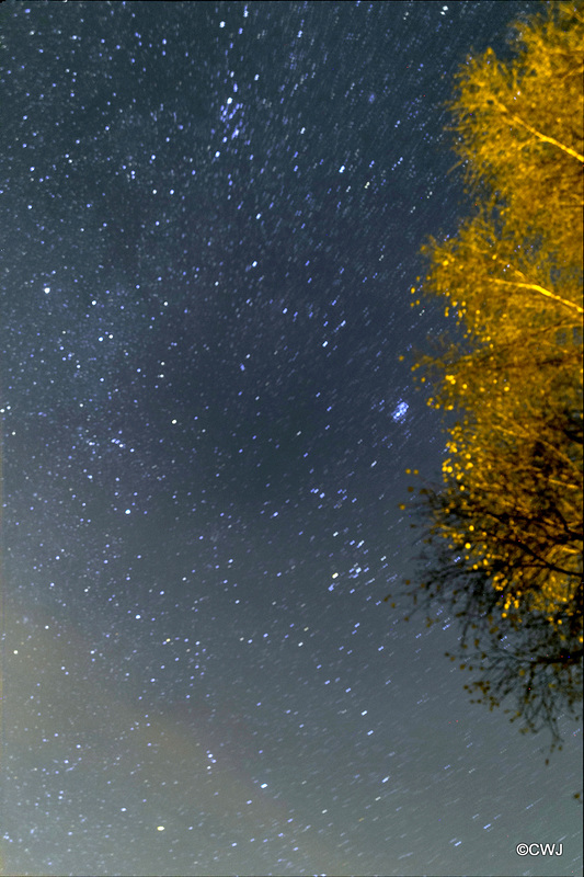 Clear night skies tonight