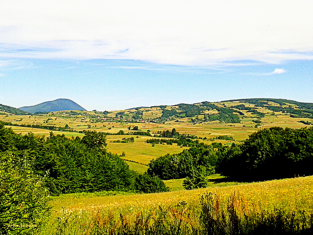 The colors of early summer