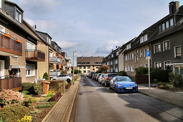 Pollerbecks Brink (Essen-Schönebeck) / 4.02.2022