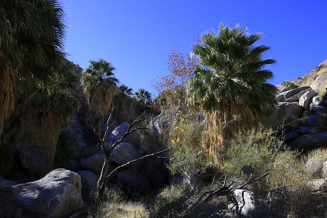 Hellhole Canyon