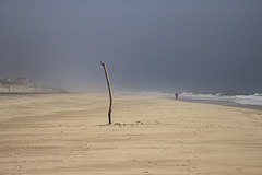 In den Hamptons In den Hamptons