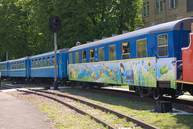 Der Zug fährt am Bahnhof Wyschenka ab