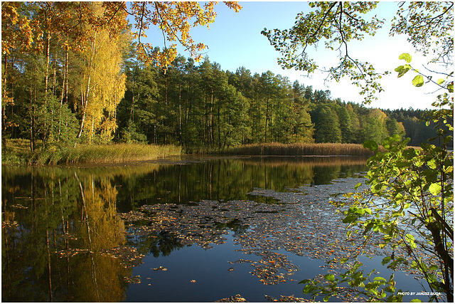 Jezioro Ciche jesienią....