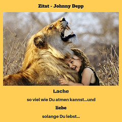 Zitat - Jonny Deep