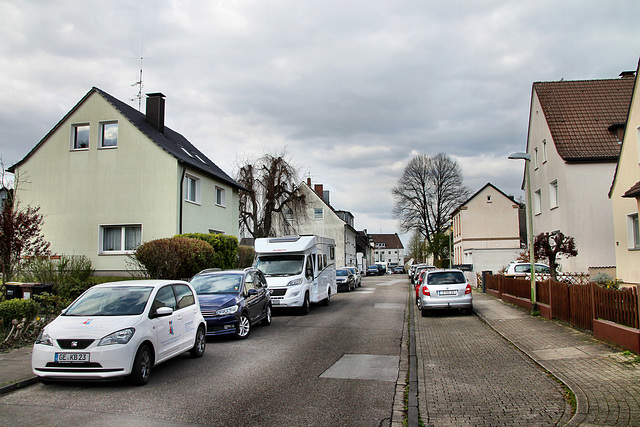 Pollerbecks Brink (Essen-Schönebeck) / 4.02.2022