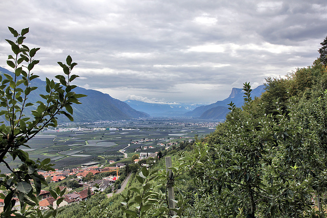 Blick vom Marlinger Waalweg ins Etschtal