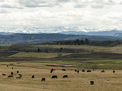 Alberta's beautiful foothills and mountains