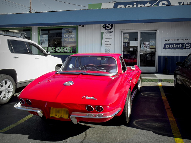 Stingray rear end