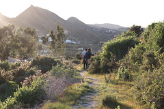 Evening walk