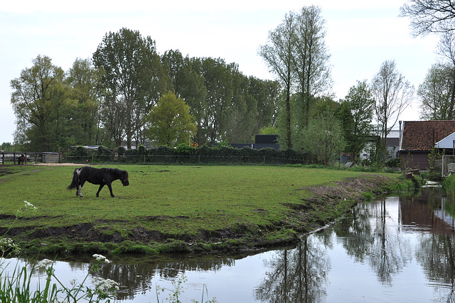 HOLLANDE 04 2014