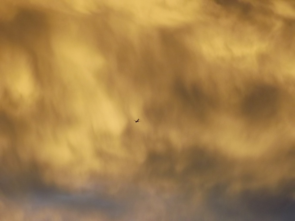 DSCF9599.plane colored cloulds