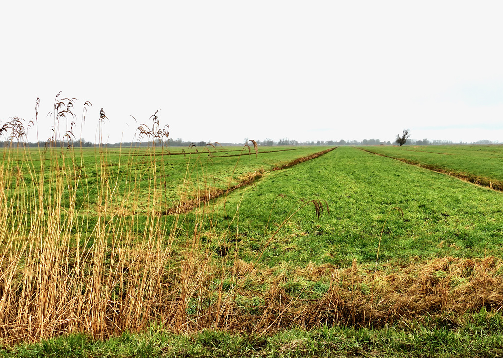 Weites Land