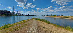 Confluence of the Rhine and Neckar