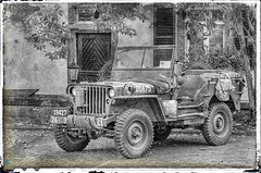 Willys