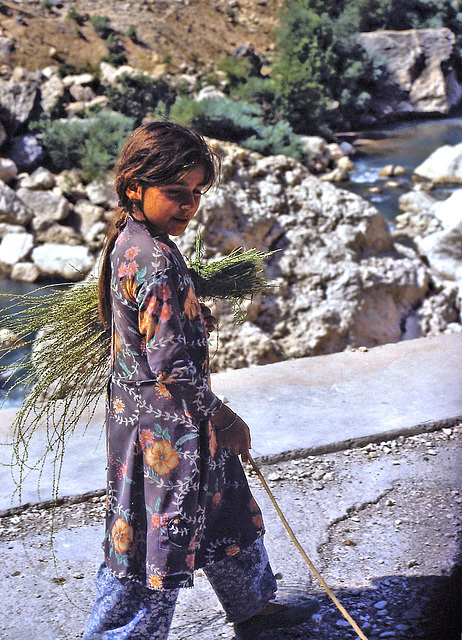 Turquie / Kurdistan turc. Juillet 1980. (Diapositive numérisée).