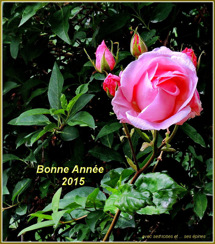 ... 2015 approche...!!