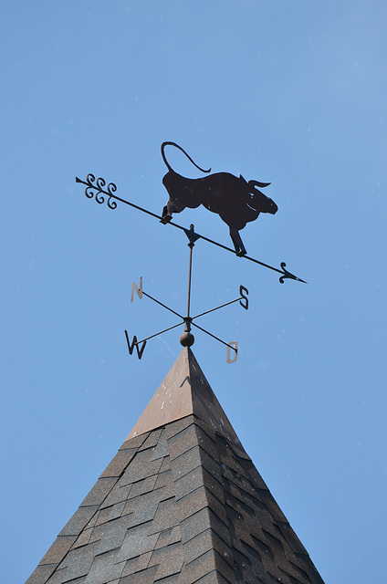 Замок Радомысль, Флюгер / Radomysl Castle, Weathervane on the Top