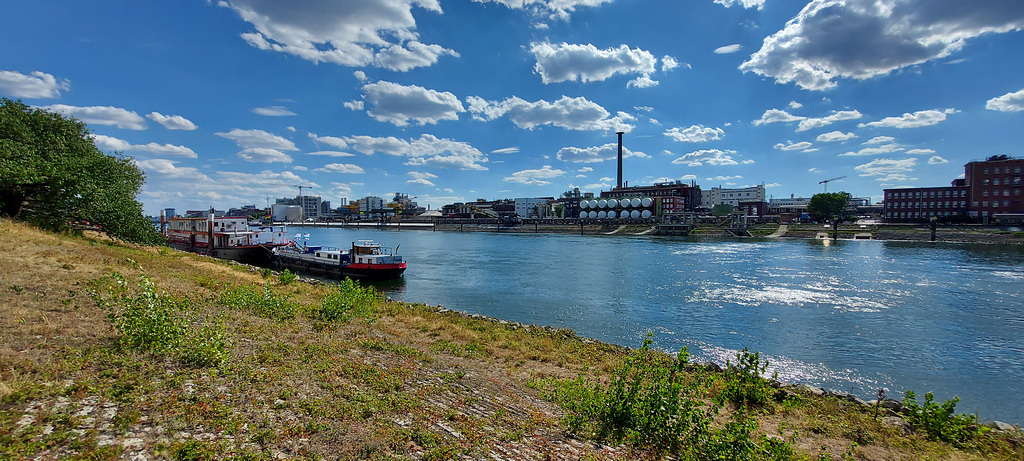 Confluence of the Rhine and Neckar