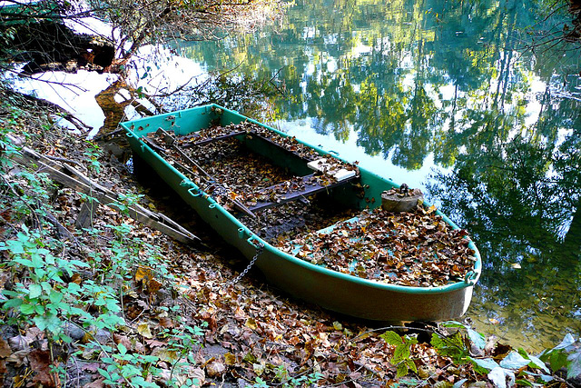 Autumn Leaf Boat vs. Banana Boat